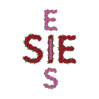 SIEEIS - Something Is Everywhere, Everywhere Is Something 